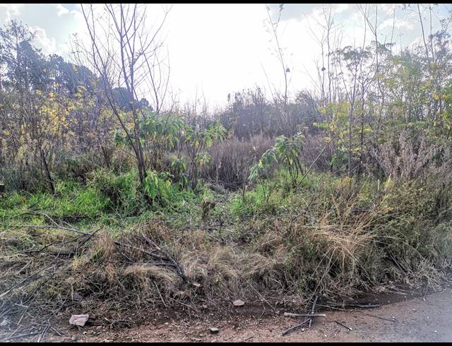 22,000M² VACANT LAND FOR SALE IN VULCANIA SOUTH
